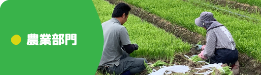 農業部門